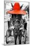 ¡Viva Mexico! B&W Collection - Horse with Red straw Hat-Philippe Hugonnard-Mounted Premium Photographic Print