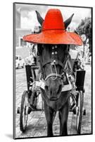 ¡Viva Mexico! B&W Collection - Horse with Red straw Hat-Philippe Hugonnard-Mounted Photographic Print