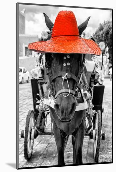 ¡Viva Mexico! B&W Collection - Horse with Red straw Hat-Philippe Hugonnard-Mounted Photographic Print