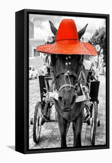 ¡Viva Mexico! B&W Collection - Horse with Red straw Hat-Philippe Hugonnard-Framed Stretched Canvas