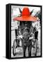 ¡Viva Mexico! B&W Collection - Horse with Red straw Hat-Philippe Hugonnard-Framed Stretched Canvas