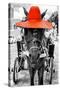 ¡Viva Mexico! B&W Collection - Horse with Red straw Hat-Philippe Hugonnard-Stretched Canvas