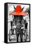 ¡Viva Mexico! B&W Collection - Horse with Red straw Hat-Philippe Hugonnard-Framed Stretched Canvas