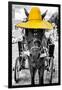 ¡Viva Mexico! B&W Collection - Horse with Yellow straw Hat-Philippe Hugonnard-Framed Photographic Print