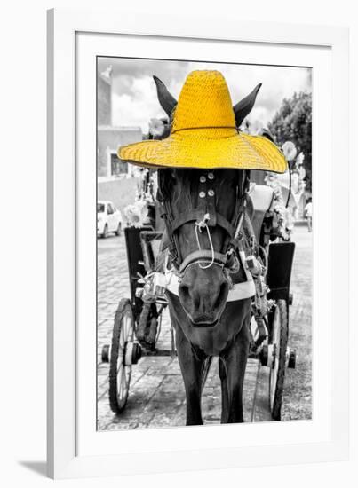 ¡Viva Mexico! B&W Collection - Horse with Yellow straw Hat-Philippe Hugonnard-Framed Photographic Print