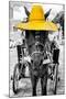 ¡Viva Mexico! B&W Collection - Horse with Yellow straw Hat-Philippe Hugonnard-Mounted Photographic Print