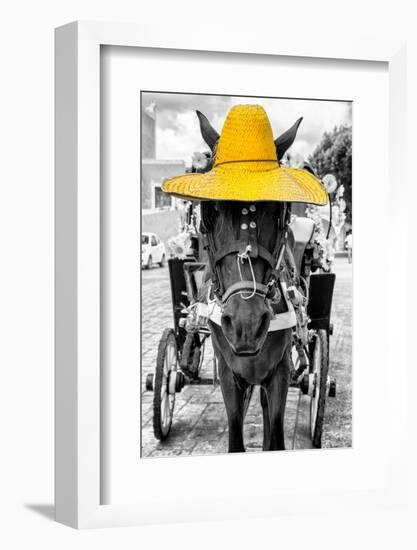 ¡Viva Mexico! B&W Collection - Horse with Yellow straw Hat-Philippe Hugonnard-Framed Photographic Print