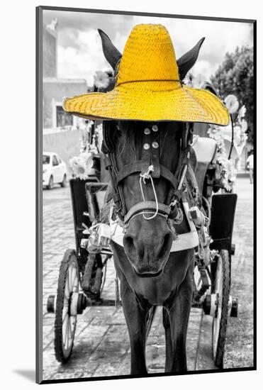 ¡Viva Mexico! B&W Collection - Horse with Yellow straw Hat-Philippe Hugonnard-Mounted Photographic Print