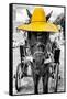 ¡Viva Mexico! B&W Collection - Horse with Yellow straw Hat-Philippe Hugonnard-Framed Stretched Canvas