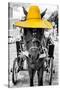 ¡Viva Mexico! B&W Collection - Horse with Yellow straw Hat-Philippe Hugonnard-Stretched Canvas