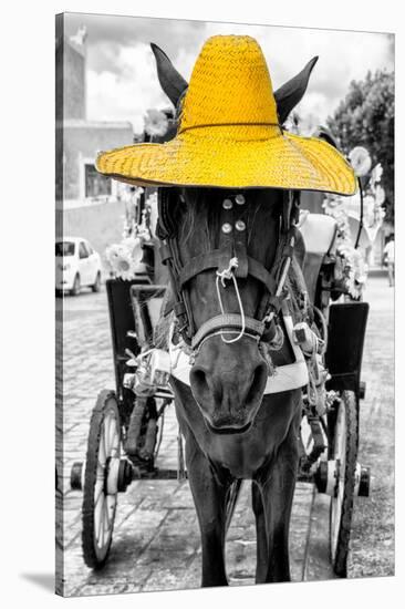 ¡Viva Mexico! B&W Collection - Horse with Yellow straw Hat-Philippe Hugonnard-Stretched Canvas