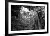 ¡Viva Mexico! B&W Collection - Ik-Kil Cenote-Philippe Hugonnard-Framed Photographic Print