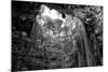 ¡Viva Mexico! B&W Collection - Ik-Kil Cenote-Philippe Hugonnard-Mounted Photographic Print