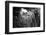 ¡Viva Mexico! B&W Collection - Ik-Kil Cenote-Philippe Hugonnard-Framed Photographic Print