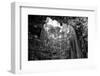 ¡Viva Mexico! B&W Collection - Ik-Kil Cenote-Philippe Hugonnard-Framed Photographic Print