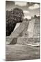 ¡Viva Mexico! B&W Collection - Maya Archaeological Site - Campeche-Philippe Hugonnard-Mounted Photographic Print