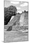 ¡Viva Mexico! B&W Collection - Maya Archaeological Site I - Campeche-Philippe Hugonnard-Mounted Photographic Print