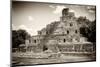 ¡Viva Mexico! B&W Collection - Maya Archaeological Site II - Campeche-Philippe Hugonnard-Mounted Photographic Print