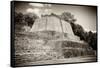 ¡Viva Mexico! B&W Collection - Maya Archaeological Site II - Edzna-Philippe Hugonnard-Framed Stretched Canvas