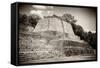 ¡Viva Mexico! B&W Collection - Maya Archaeological Site II - Edzna-Philippe Hugonnard-Framed Stretched Canvas