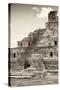 ?Viva Mexico! B&W Collection - Maya Archaeological Site IV - Campeche-Philippe Hugonnard-Stretched Canvas