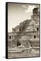 ?Viva Mexico! B&W Collection - Maya Archaeological Site IV - Campeche-Philippe Hugonnard-Framed Stretched Canvas