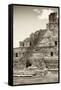 ?Viva Mexico! B&W Collection - Maya Archaeological Site IV - Campeche-Philippe Hugonnard-Framed Stretched Canvas