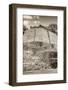 ¡Viva Mexico! B&W Collection - Maya Archaeological Site IV - Edzna-Philippe Hugonnard-Framed Photographic Print