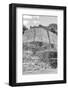 ¡Viva Mexico! B&W Collection - Maya Archaeological Site V - Edzna-Philippe Hugonnard-Framed Photographic Print