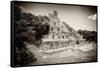 ¡Viva Mexico! B&W Collection - Maya Archaeological Site VI - Campeche-Philippe Hugonnard-Framed Stretched Canvas