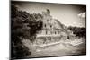 ¡Viva Mexico! B&W Collection - Maya Archaeological Site VI - Campeche-Philippe Hugonnard-Mounted Photographic Print