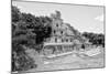 ¡Viva Mexico! B&W Collection - Maya Archaeological Site VII - Campeche-Philippe Hugonnard-Mounted Photographic Print