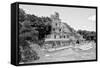 ¡Viva Mexico! B&W Collection - Maya Archaeological Site VII - Campeche-Philippe Hugonnard-Framed Stretched Canvas