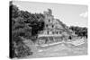 ¡Viva Mexico! B&W Collection - Maya Archaeological Site VII - Campeche-Philippe Hugonnard-Stretched Canvas