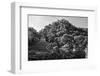 ¡Viva Mexico! B&W Collection - Mayan Ruins in Palenque at Sunrise II-Philippe Hugonnard-Framed Photographic Print