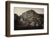 ¡Viva Mexico! B&W Collection - Mayan Ruins in Palenque at Sunrise-Philippe Hugonnard-Framed Photographic Print