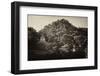 ¡Viva Mexico! B&W Collection - Mayan Ruins in Palenque at Sunrise-Philippe Hugonnard-Framed Photographic Print