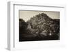 ¡Viva Mexico! B&W Collection - Mayan Ruins in Palenque at Sunrise-Philippe Hugonnard-Framed Photographic Print