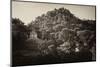 ¡Viva Mexico! B&W Collection - Mayan Ruins in Palenque at Sunrise-Philippe Hugonnard-Mounted Photographic Print