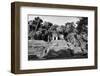 ¡Viva Mexico! B&W Collection - Mayan Ruins in Palenque II-Philippe Hugonnard-Framed Photographic Print