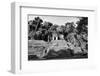 ¡Viva Mexico! B&W Collection - Mayan Ruins in Palenque II-Philippe Hugonnard-Framed Photographic Print