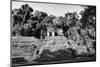 ¡Viva Mexico! B&W Collection - Mayan Ruins in Palenque II-Philippe Hugonnard-Mounted Photographic Print