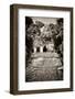 ¡Viva Mexico! B&W Collection - Mayan Ruins in Palenque III-Philippe Hugonnard-Framed Photographic Print