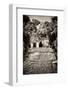 ¡Viva Mexico! B&W Collection - Mayan Ruins in Palenque III-Philippe Hugonnard-Framed Photographic Print