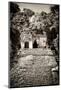 ¡Viva Mexico! B&W Collection - Mayan Ruins in Palenque III-Philippe Hugonnard-Mounted Photographic Print