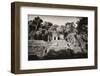 ¡Viva Mexico! B&W Collection - Mayan Ruins in Palenque-Philippe Hugonnard-Framed Photographic Print