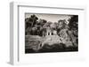 ¡Viva Mexico! B&W Collection - Mayan Ruins in Palenque-Philippe Hugonnard-Framed Photographic Print