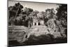 ¡Viva Mexico! B&W Collection - Mayan Ruins in Palenque-Philippe Hugonnard-Mounted Photographic Print