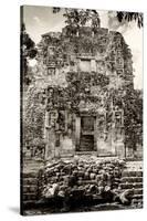 ¡Viva Mexico! B&W Collection - Mayan Ruins V-Philippe Hugonnard-Stretched Canvas