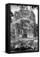 ¡Viva Mexico! B&W Collection - Mayan Ruins VI-Philippe Hugonnard-Framed Stretched Canvas